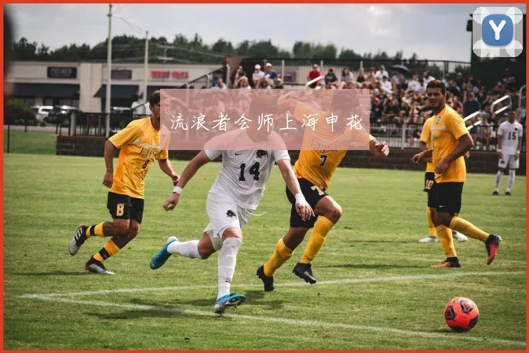 流浪者会师上海申花