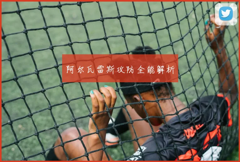 阿尔瓦雷斯攻防全能解析