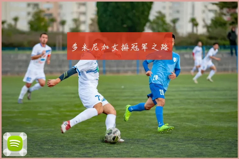 多米尼加女排冠军之路