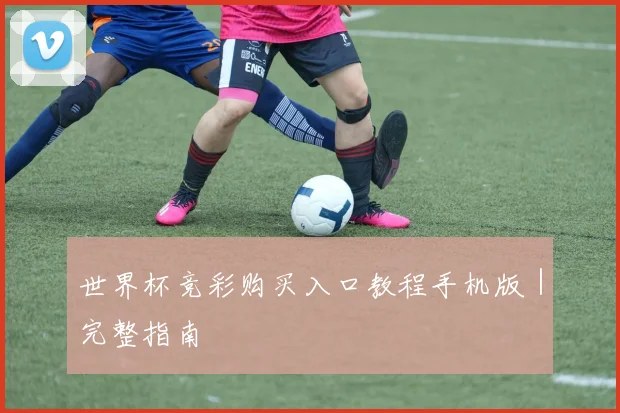 世界杯竞彩购买入口教程手机版｜完整指南