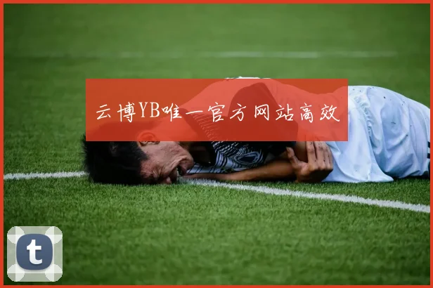 云博YB唯一官方网站高效