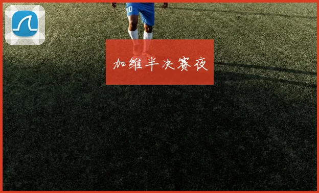 加维半决赛夜