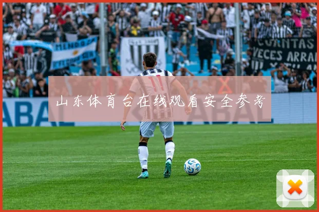 山东体育台在线观看安全参考