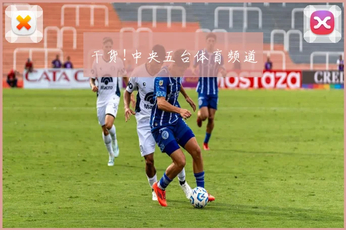 干货!中央五台体育频道