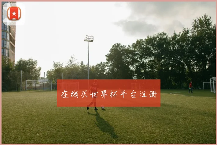 在线买世界杯平台注册