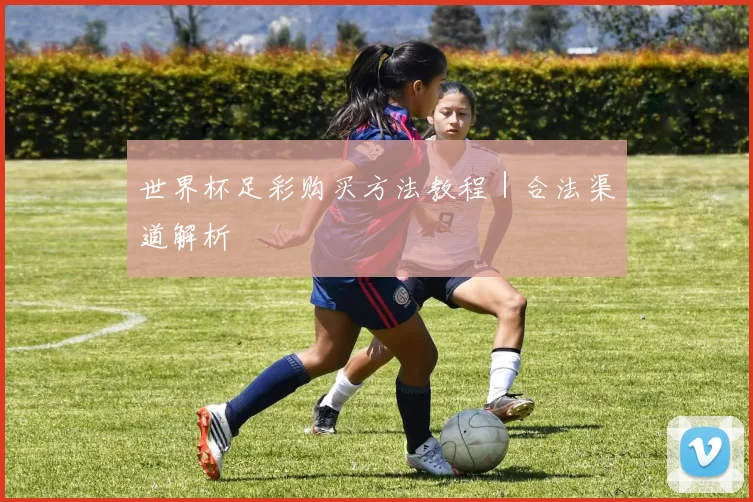 世界杯足彩购买方法教程｜合法渠道解析