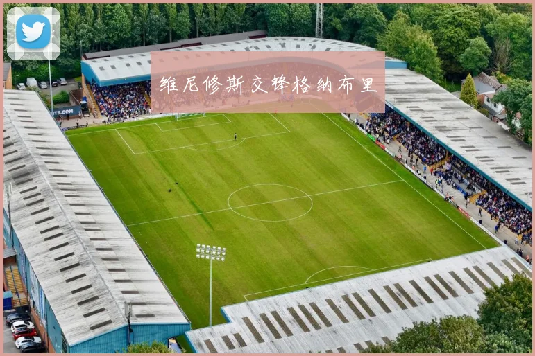 维尼修斯交锋格纳布里