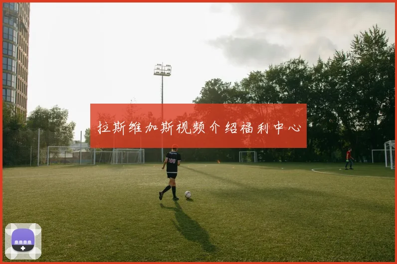 拉斯维加斯视频介绍福利中心