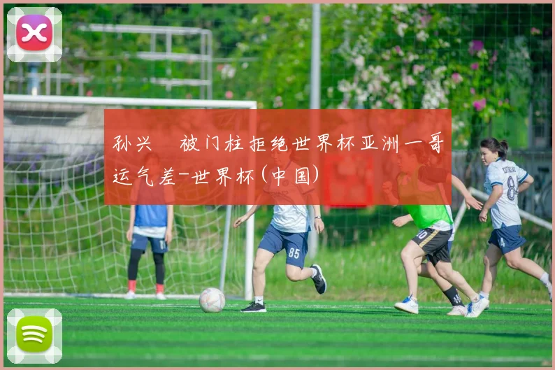孙兴慜被门柱拒绝世界杯亚洲一哥运气差-世界杯(中国)