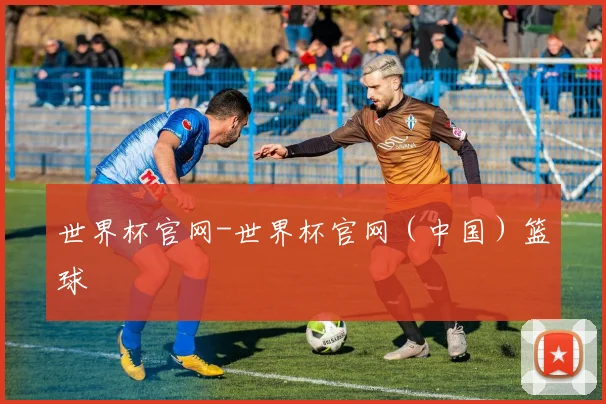 世界杯官网-世界杯官网（中国）篮球