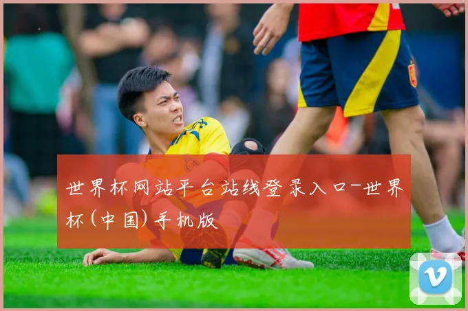世界杯网站平台站线登录入口-世界杯(中国)手机版