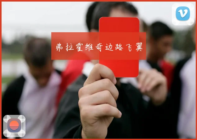 弗拉霍维奇边路飞翼