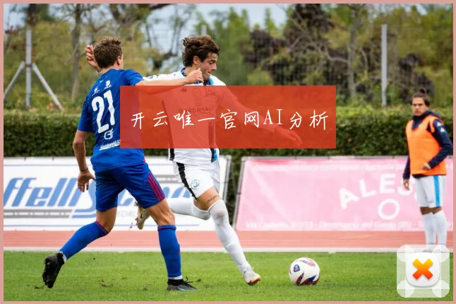 开云唯一官网AI分析