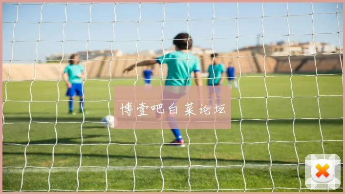 博壹吧白菜论坛