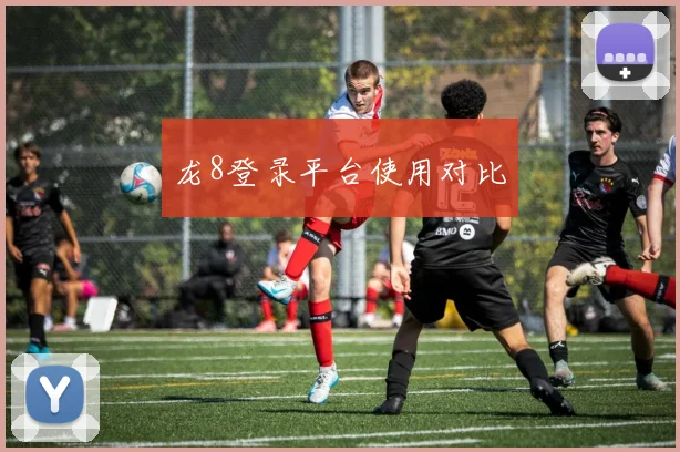 龙8登录平台使用对比