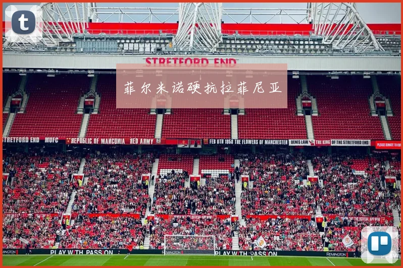 菲尔米诺硬抗拉菲尼亚