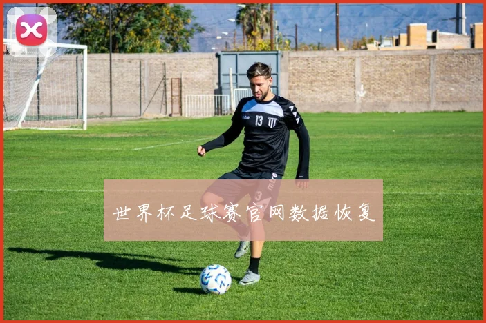 世界杯足球赛官网数据恢复