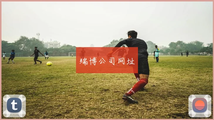 瑞博公司网址