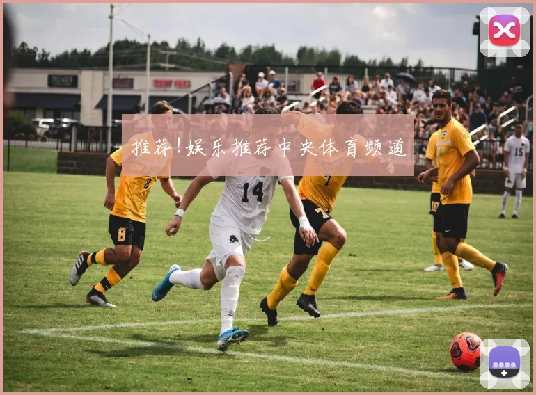 推荐!娱乐推荐中央体育频道