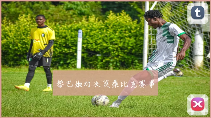 黎巴嫩对决莫桑比克赛事
