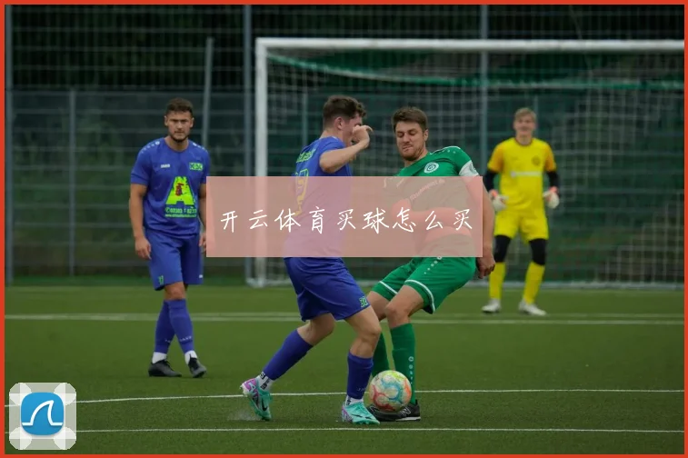 开云体育买球怎么买