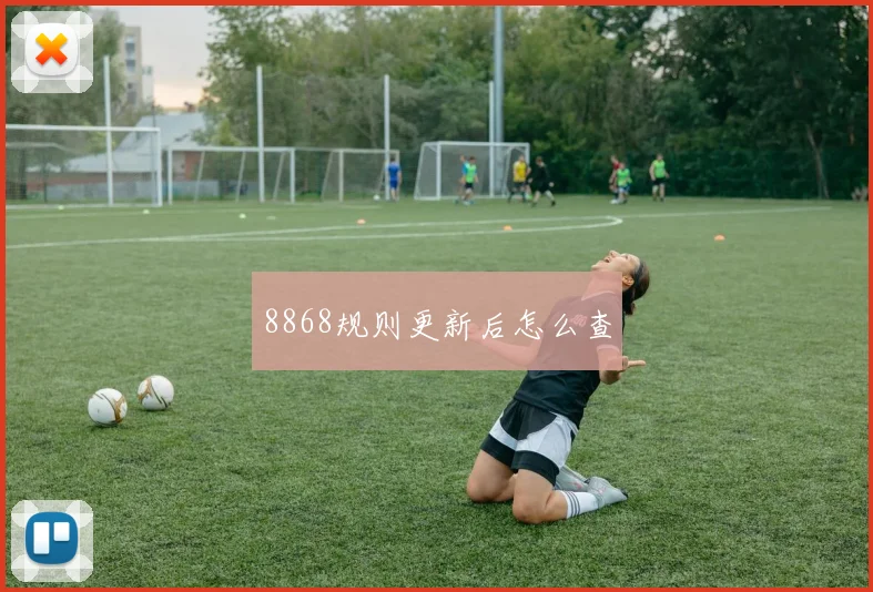 8868规则更新后怎么查