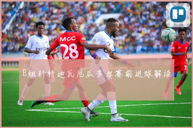 E组科特迪瓦厄瓜多尔赛前进球解读